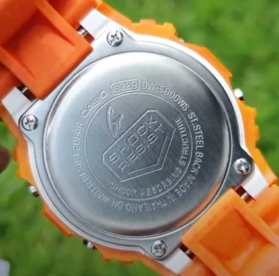 Часы Casio G-Shock DW-5600WS-4