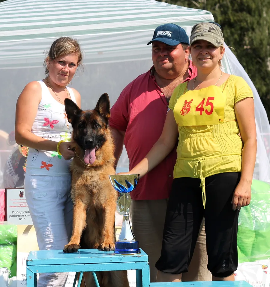 08.08.2015,  выставка в г. Рязань, 
1-е место в классе Молодых собак сук, ЮКЧК, судья - С. Куретов (Москва)
