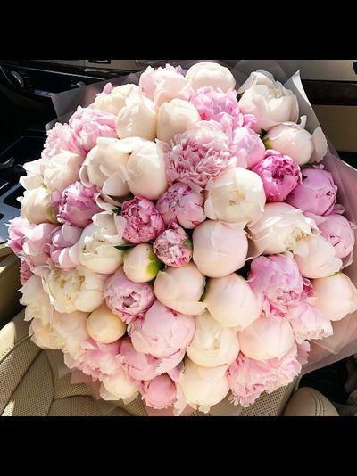 Букет из 51 пиона