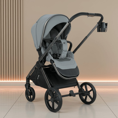 Детская коляска 2 в 1 Pituso Teffy Blue Tea/Graphite