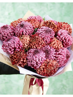 Букет из 17 хризантем бигуди