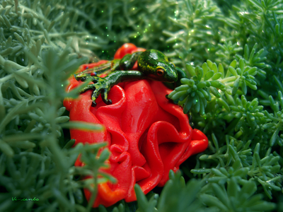 Тропическая лягушка. Необычная брошь с лягушкой - яркое летнее украшение