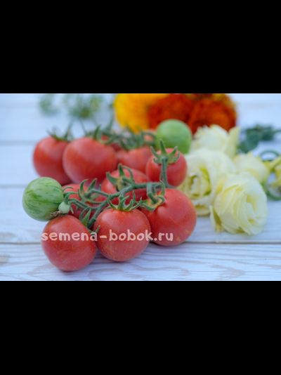 Томат Эльберта Персиковая  (Elberta Peach), 10 шт