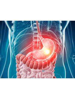 Лечение ЖКТ