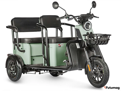 Электротрицикл Wanshida LC300 60V 1000Вт зеленый