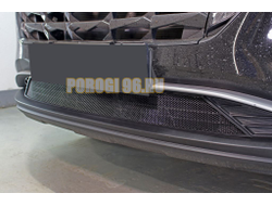 Защита радиатора Hyundai Tucson 2021- black низ
