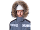 Куртка ХАЙ-ТЕК SAFETY зимняя IFORM