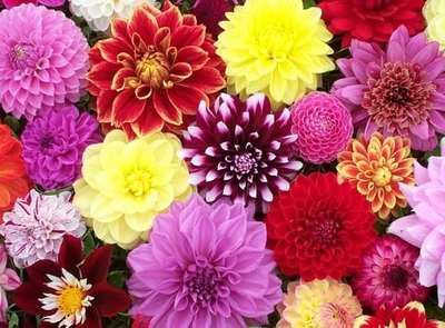 "Лист георгина" Силиконовый молд  (вайнер)