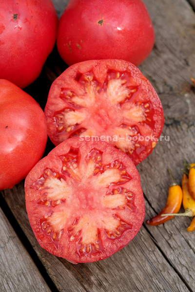Томат Минусинский Бурлак, 10 шт