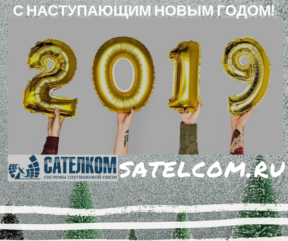 2019 год