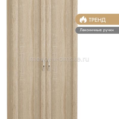 Шкаф для одежды Фиери