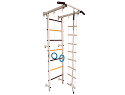 Детский спортивный комплекс пристенный усиленный до 120 кг