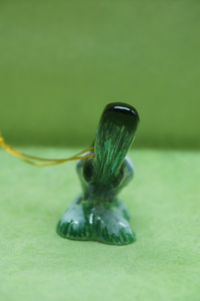 Сорока - Птицы России