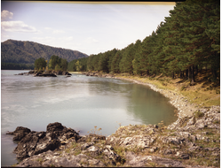 Купить греющую картину с фото берег лесного озера