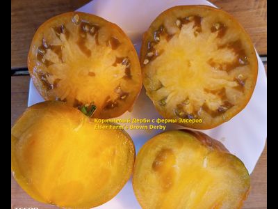 Томат Коричневый Дерби с фермы Элсеров (Elser Farm’s Brown Derby)