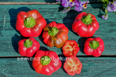 Перец сладкий Sheepnose Pimento (Овечий нос), 10 шт