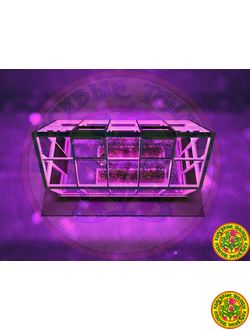 Зимняя Теплица Дункан II в классическом английском стиле