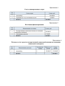 Уникальный расчет финансового план для вашего бизнес-плана под социальный контракт
