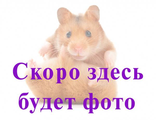 Пайетки #1111 со смещенным центром 2 гр