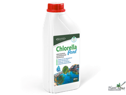 Суспензия Хлореллы - Chlorella Pond 1 л