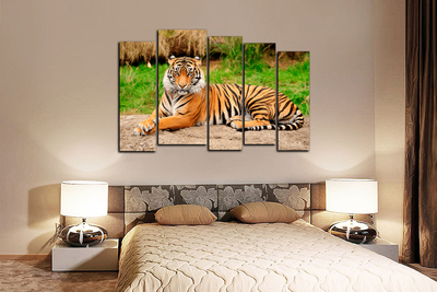 Модульная картина "Тигр"