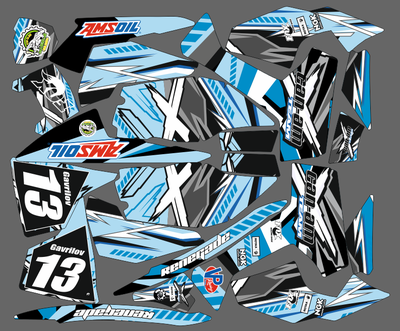 Can-am BPR Renegade #906