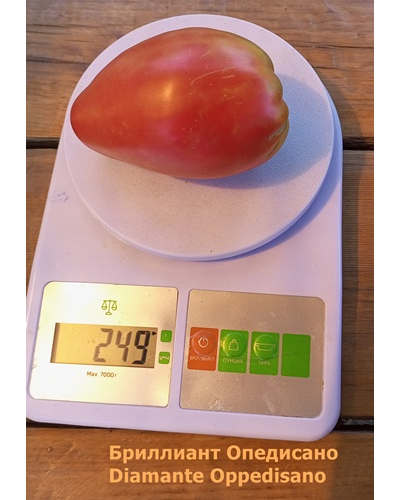 Томат Бриллиант Оппедисано (Diamante Oppedisano)