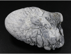 Кахолонг (Опал), желвак цельный, Оренбургская обл. (57*34*27 мм, 53 г) №29445