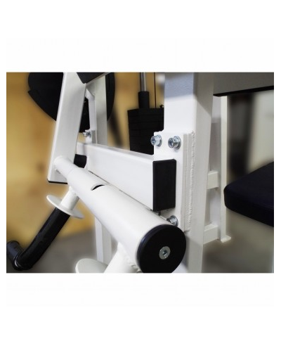 Бицепс-трицепс машина 2 в 1 60 кг AV248/80