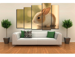 МОДУЛЬНЫЕ КАРТИНЫ «ЖИВОТНЫЕ»