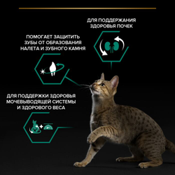 Pro Plan (Про План) Sterilised Optirenal сухой корм для взрослых стерилизованных кошек и кастрированных котов, с индейкой, 3 кг