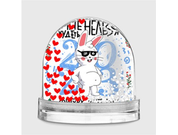 Водяной шар год Кролика №20