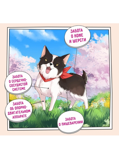 ZILLII Adult Dog Small Breed корм сухой для собак мелких пород  Индейка с Уткой 0.8 кг