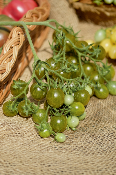 Томат Sister keyes (Систер Киз), 10 шт