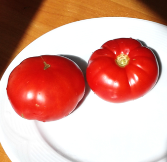 Семена томата Маеги