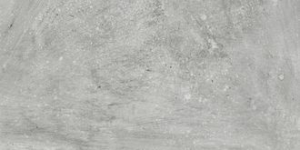 Richmond grey PG 01 300х600