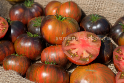 Томат Dwarf Rebel Starfighter Dipper's Delight (Гном Восставший Звездный Истребитель Восторг Диппера), 10 шт