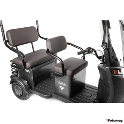 Электротрицикл Rutrike Gelbert Bos 48V/60V 800Вт черный