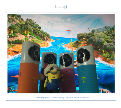 Видеоняня /WiFi видеокамера CleverDog с DVR