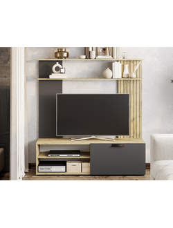 Мишель тип 1 ГС-05 гостиная Крафт/Графит