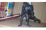 orgksl49xmo0ocgs4cswk8ggg8wcwg.png