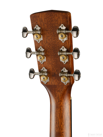 Cort EARTH80-NS 5