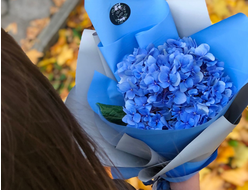 Букет гортензии "Аристократ"