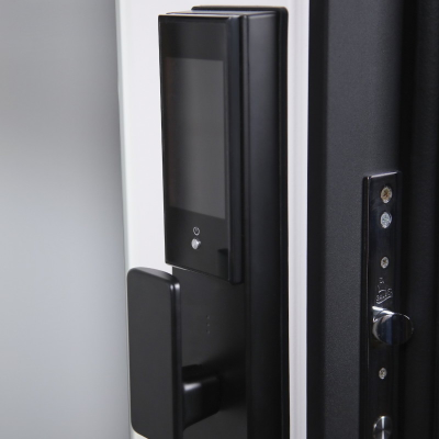 Стальная дверь   Сапсан с зеркалом (биометрический замок Smart lock DZ 888)