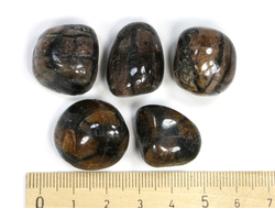 Хиастолит (андалузит) в ассортименте, галтовка (22-24 мм, 10-14 г) №22701