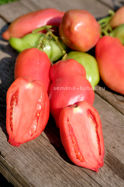 Томат Брикодейки Минусинские, 10 шт