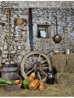 Фотофон виниловый «Сено в сарае»