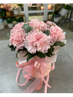 ДИАНТУСЫ В ШЛЯПНОЙ КОРОБКЕ