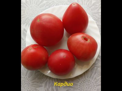 Томат Кардио