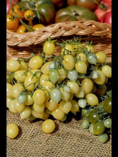 Томат Сумасшедшие Вишни Барри  (Barry's Crazy Cherry), 10 шт